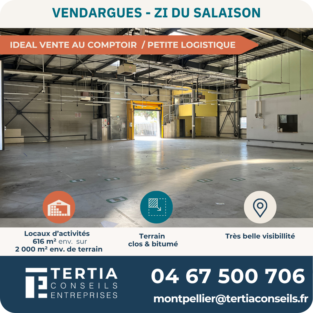 A LOUER A VENDARGUES (34)