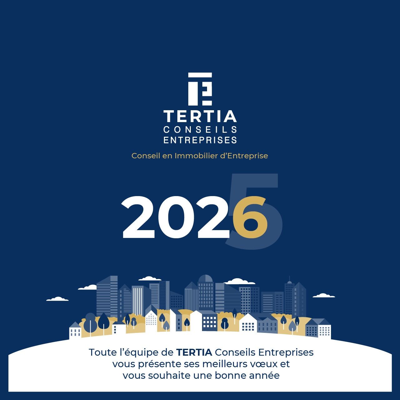 Meilleurs Voeux 2025