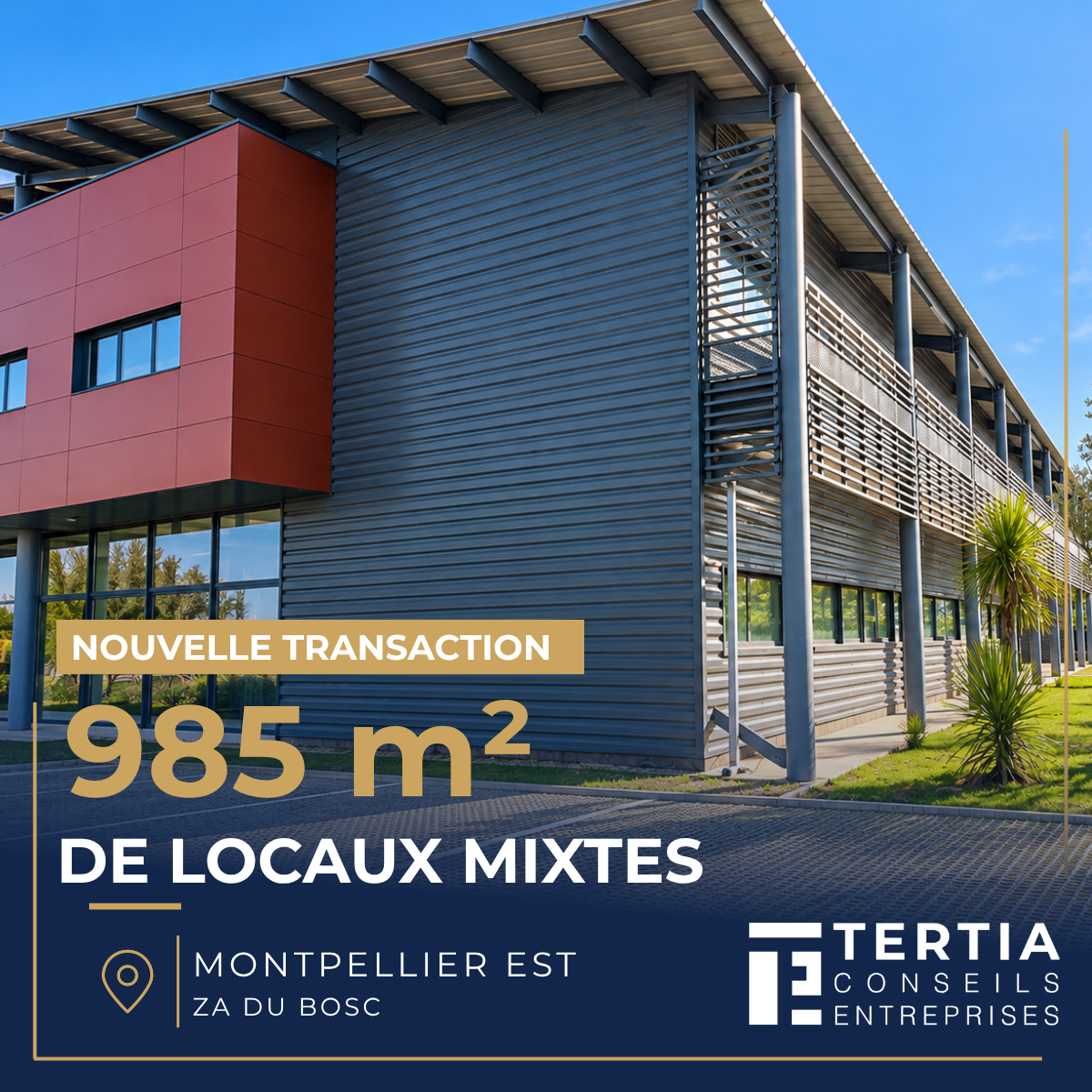 NOUVELLE TRANSACTION | 985 m² - MUDAISON – ZAE DU BOSC