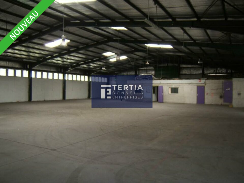 LOCAUX D'ACTIVITE - ENTREPOTS &agrave; Louer