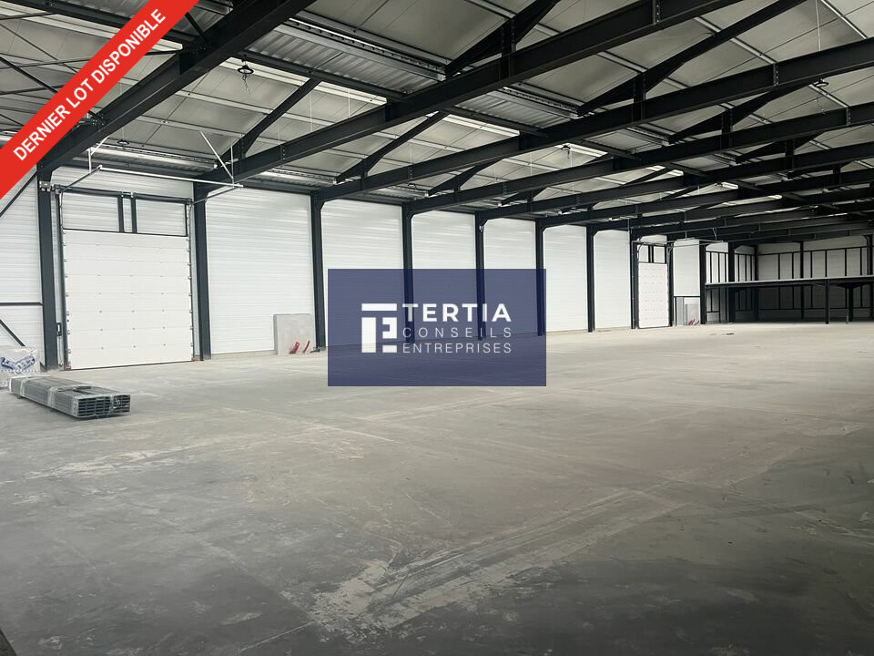 LOCAUX D'ACTIVITE - ENTREPOTS à Louer