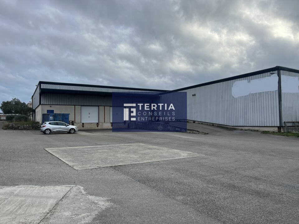 LOCAUX D'ACTIVITE - ENTREPOTS &agrave; Vendre