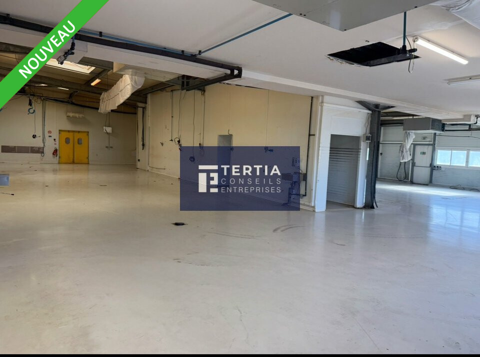 LOCAUX D'ACTIVITE - ENTREPOTS &agrave; Vendre