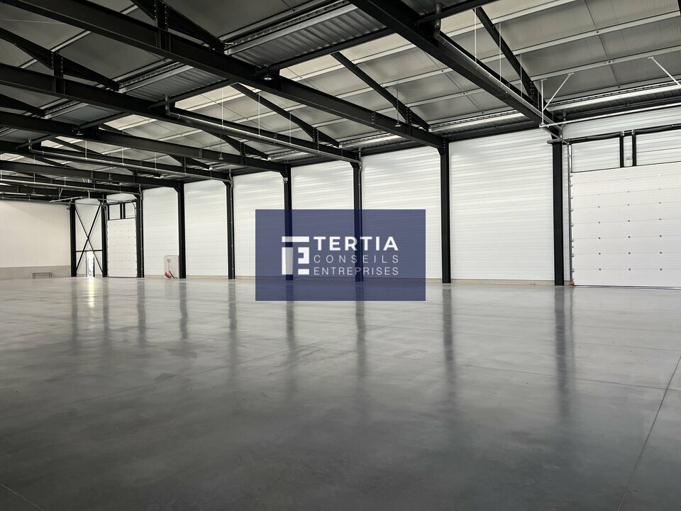 LOCAUX D'ACTIVITE - ENTREPOTS &agrave; Louer