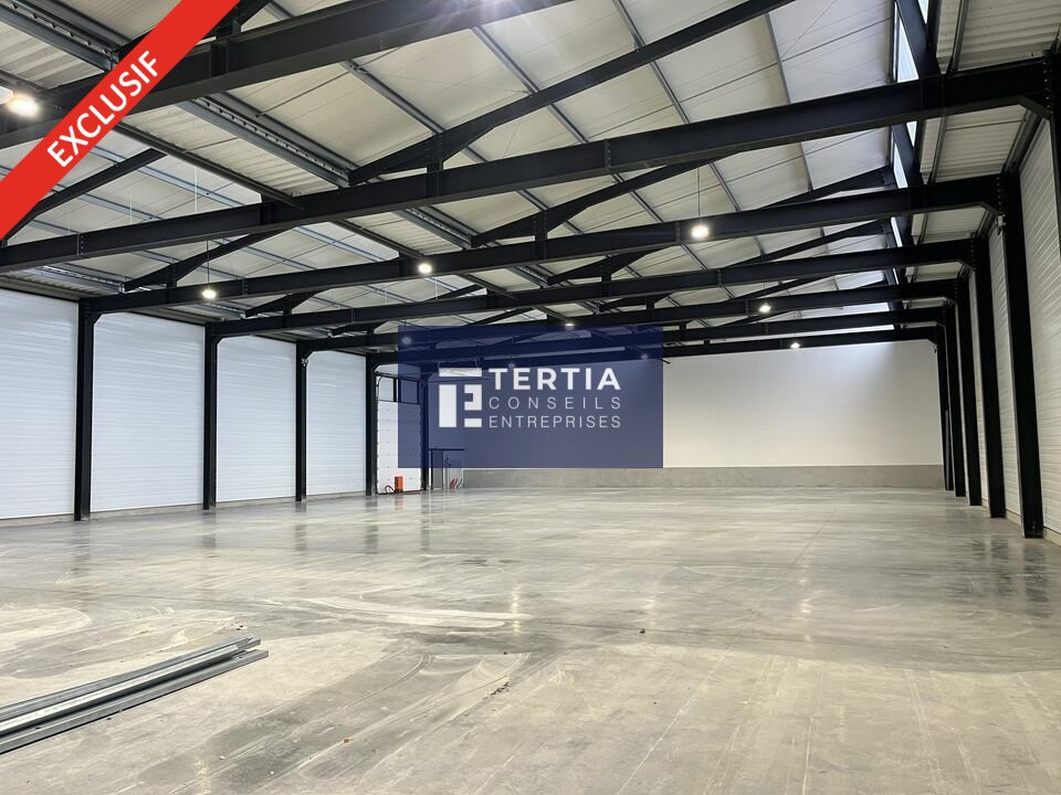 LOCAUX D'ACTIVITE - ENTREPOTS &agrave; Louer