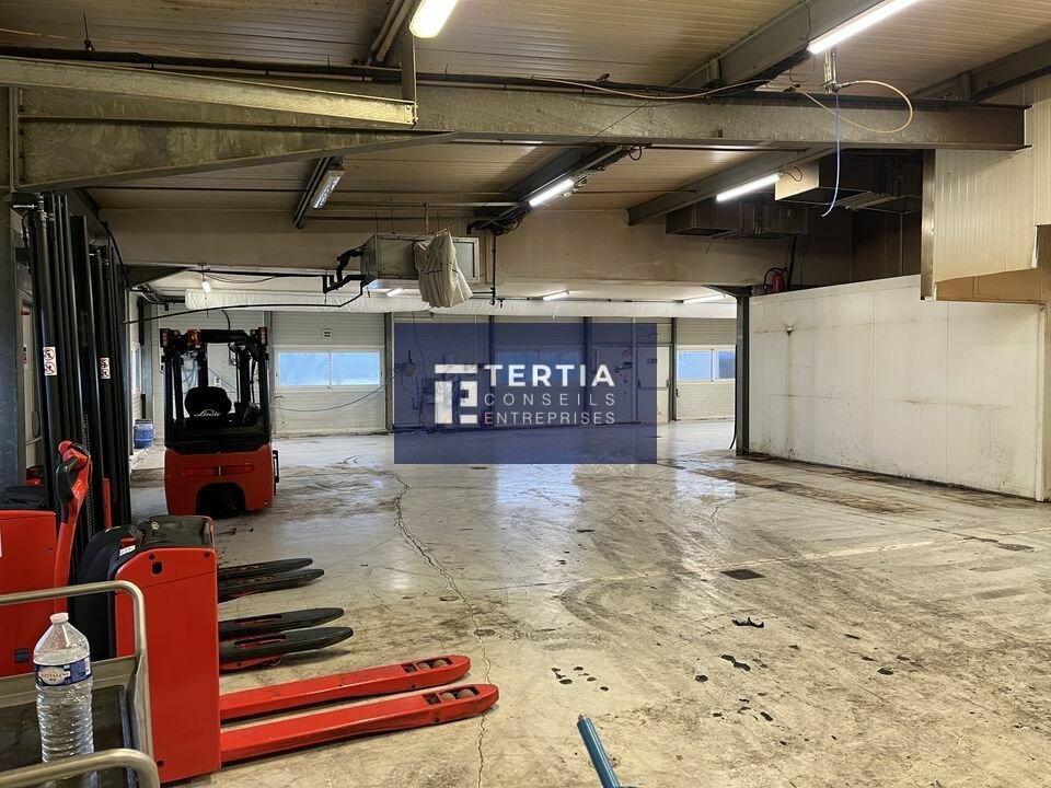 LOCAUX D'ACTIVITE - ENTREPOTS à Louer